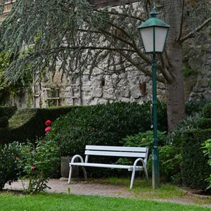 Peaceful garden scene with a white bench, green lamp post, and vibrant roses against a stone wall.
